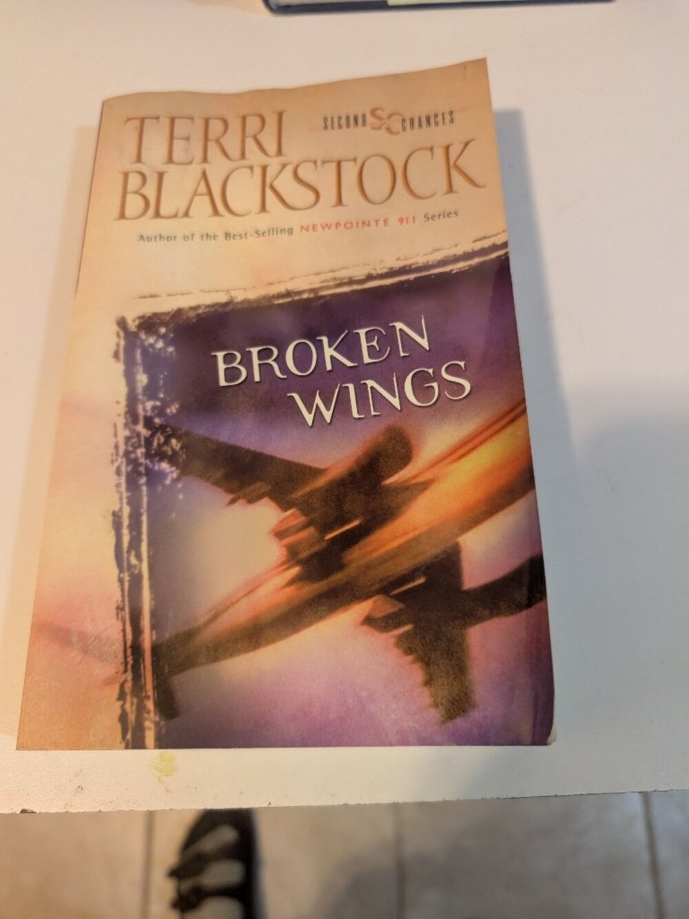 Novel by Terri Blackstock